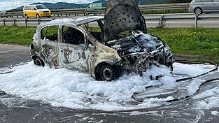 Die Fahrerin des Wagens blieb unverletzt.