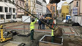 Ließen sich das Spektakel der ersten großen Baumpflanzung am Stadtplatz nicht entgehen (v.l.): Stadtgärtner Jörg Bär, Bert Plank und Roland Sandl vom Tiefbauamt, Oberbürgermeister Markus Pannermayr, Peter Leibl und Tiefbauamtsleiterin Cristina Pop.