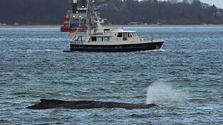 Ein gr&ouml;&szlig;erer Saugbagger wird demn&auml;chst vor Ort erwartet.