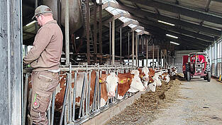 Claus Barth f&uuml;hrt Reparaturen in seinem Laufstall durch.