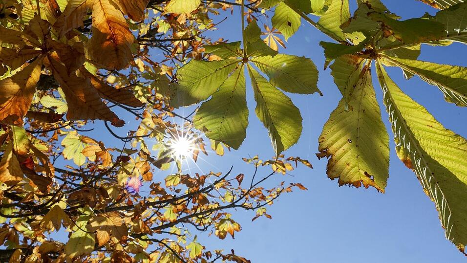 Die kommenden Tage bleibt es sonnig und warm in Bayern, einzig nachts wird es frisch. (Symbolbild) Die kommenden Tage bleibt es sonnig und warm in Bayern, einzig nachts wird es frisch. (Symbolbild)