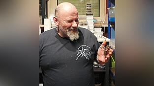 Vor etwa 30 Jahren hatte Jürgen Obster seine erste Vogelspinne. Mittlerweile hat sich diese Zahl vertausendfacht. Vor etwa 30 Jahren hatte Jürgen Obster seine erste Vogelspinne. Mittlerweile hat sich diese Zahl vertausendfacht.