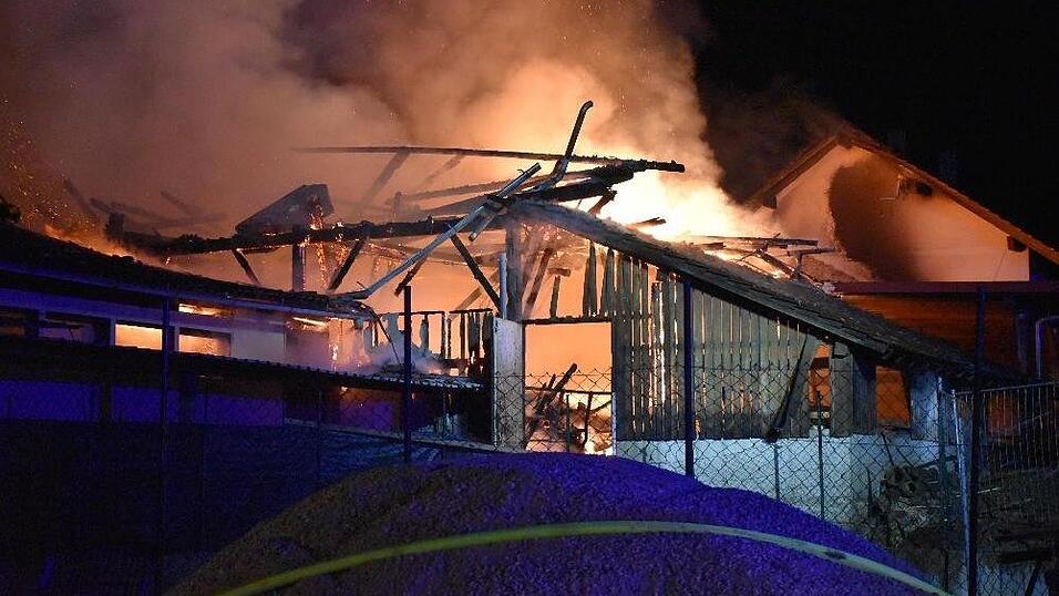 Bei einem Brand auf einem Bauernhof im Landkreis Deggendorf kamen mehrere Rinder ums Leben.