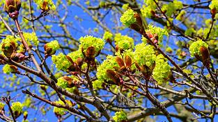 Der DWD erwartet viel Sonnenschein am Wochenende f&uuml;r Bayern. (Symbolbild)