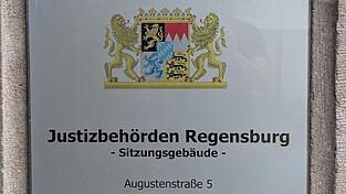 Vor dem Landgericht Regensburg wurde über die dauerhafte Unterbringung eines 27-Jährigen in der Psychiatrie verhandelt. Vor dem Landgericht Regensburg wurde über die dauerhafte Unterbringung eines 27-Jährigen in der Psychiatrie verhandelt.