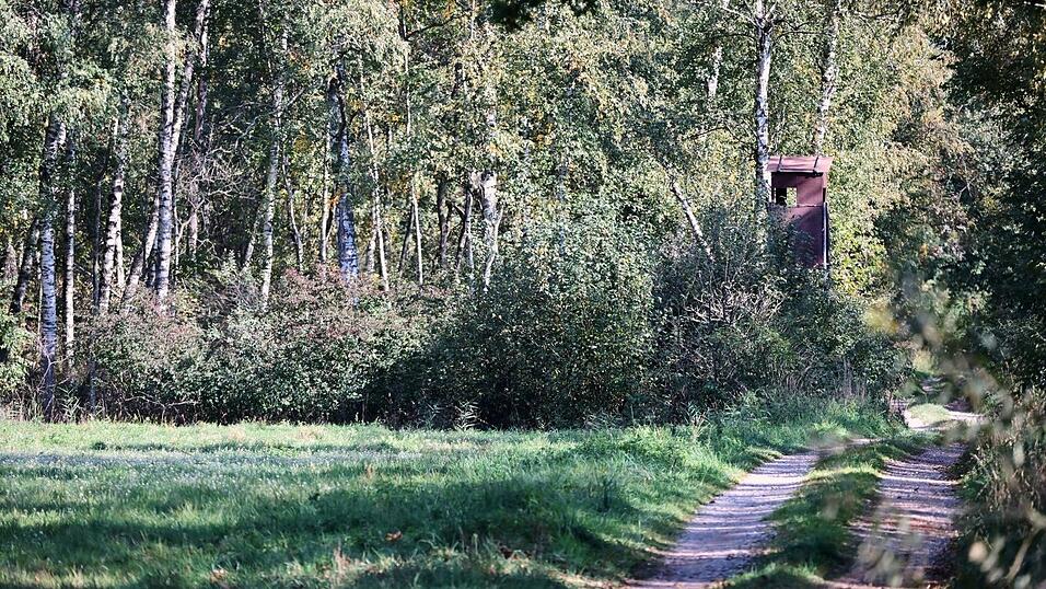 Ein Jäger hatte das fragliche Tier im Notzinger Moos durch eine Wärmebildkamera beobachtet. (Archivbild) Ein Jäger hatte das fragliche Tier im Notzinger Moos durch eine Wärmebildkamera beobachtet. (Archivbild)