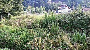 Der Tiefenbacher Wirtsanger verbindet die neue Ortsmitte mit der Kirchenstraße.