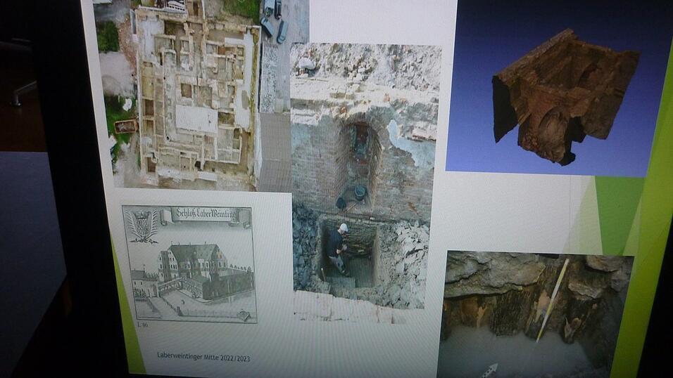 Per digitaler Pr&auml;sentation ging Dr. Ludwig Husty auf j&uuml;ngste Erkenntnisse ein.