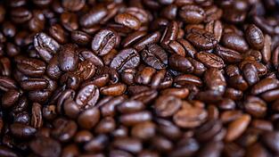 Umfragen zufolge trinken 68 Prozent der Menschen in Deutschland täglich Kaffee, 15 Prozent mehrmals wöchentlich. (Archivbild) Umfragen zufolge trinken 68 Prozent der Menschen in Deutschland täglich Kaffee, 15 Prozent mehrmals wöchentlich. (Archivbild)