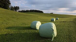 Mit sommerlichen Temperaturen in Bayern geht es ins Wochenende. Mit sommerlichen Temperaturen in Bayern geht es ins Wochenende.