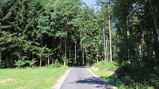 Mitten durch die Hundshaut-Waldungen f&uuml;hrt der Herrschaftsweg. Er sticht mit seiner f&uuml;rstlichen Bezeichnung heraus.