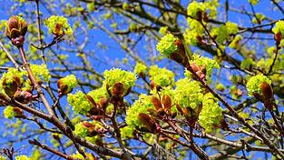 Tags&uuml;ber soll es freundlich werden. (Symbolbild)