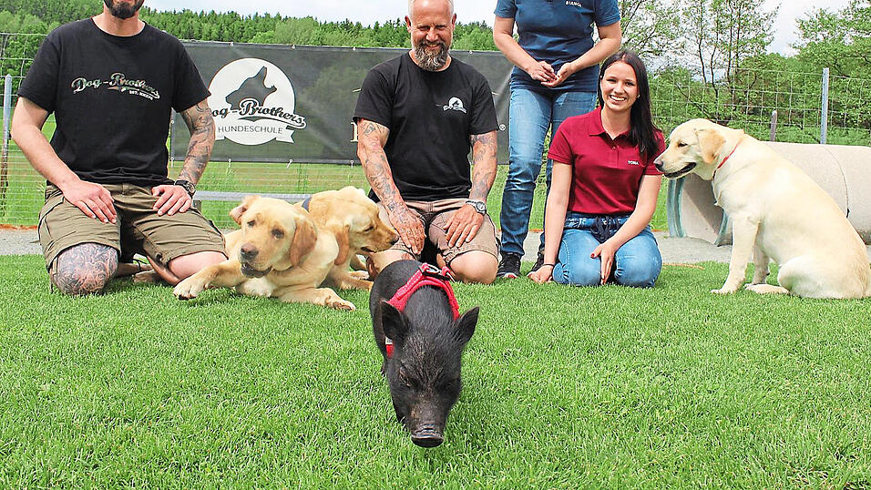 Die 'Dog Brothers' lassen Minischwein Napoleon den Vortritt: Die Hundetrainer Johannes Stilp und Peter Kick, Napoleons Besitzerin Bianca Biegerl mit Tochter Antonia sowie die Labradors Gretel, Vicky und Elsa (von links).