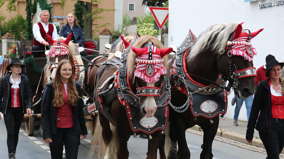 Das Hofmark-Pferdegespann rundet den Festzug ab.