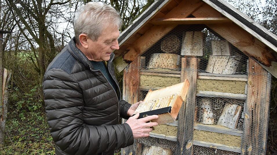 Thomas Hofstetter vom Imkerverein Mainburg bietet nicht nur Honigbienen ein Zuhause. Neben seinem Bienenhaus &uuml;berwintern auch die Larven verschiedener Wildbienenarten.