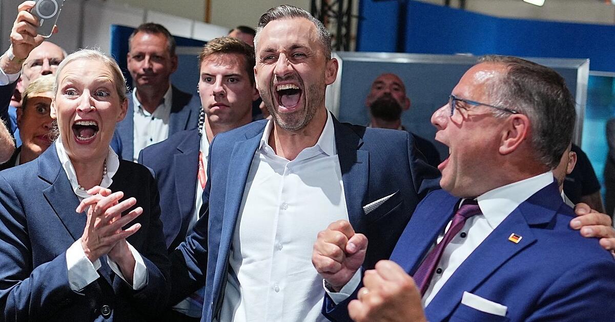 AfD's success in the state elections: What to do with all this new ...