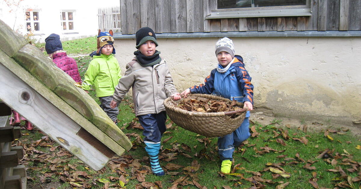 Igel Erlebnisvortrag Im Kindergarten igel-erlebnisvortrag-im-kindergarten