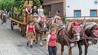 Das pr&auml;chtige Vierergespann der Gesellschaftsbrauerei Viechtach, auf dem Kutschbock Braumeisterin Miriam Engleder und Katalina Kemenyfy von der Hofmarkbrauerei