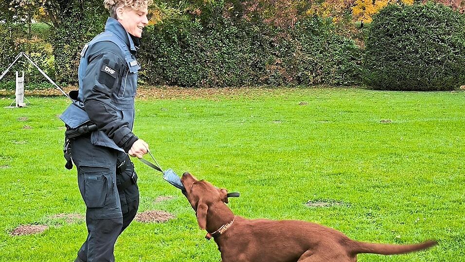 Die Diensthundeführerin Bianca Schmidbauer lässt sich gerne auf ein neues Berufsabenteuer mit ihrem jungen Labrador-Rüden Iophiel ein.