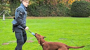 Die Diensthundeführerin Bianca Schmidbauer lässt sich gerne auf ein neues Berufsabenteuer mit ihrem jungen Labrador-Rüden Iophiel ein.