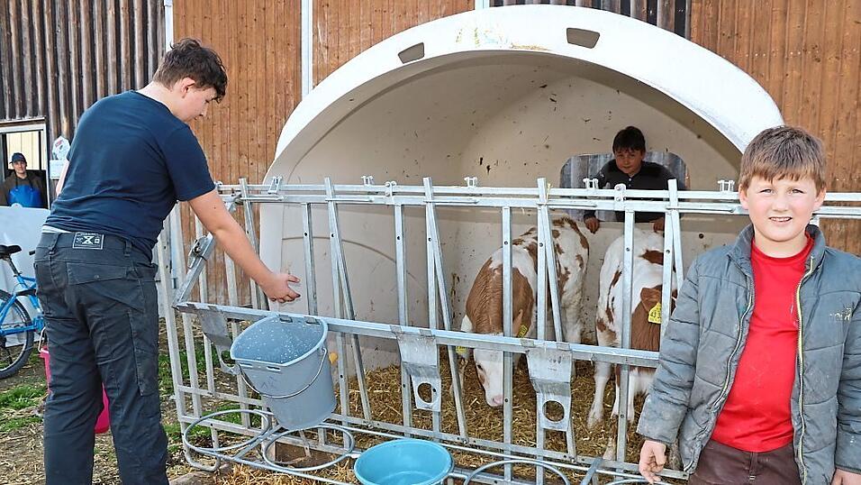 Auch die drei Söhne Lorenz, Ludwig und Leonhard helfen auf dem Hof fleißig mit. Auch die drei Söhne Lorenz, Ludwig und Leonhard helfen auf dem Hof fleißig mit.
