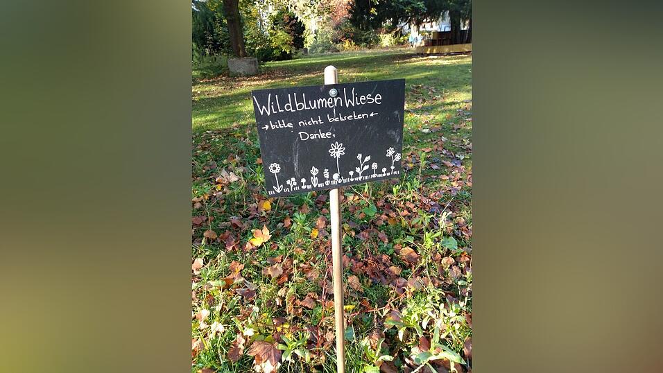 Das 'Prinzessinnengarten Kollektiv' hat sogar eine Wildblumenwiese ins Leben gerufen.