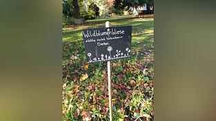 Das 'Prinzessinnengarten Kollektiv' hat sogar eine Wildblumenwiese ins Leben gerufen.