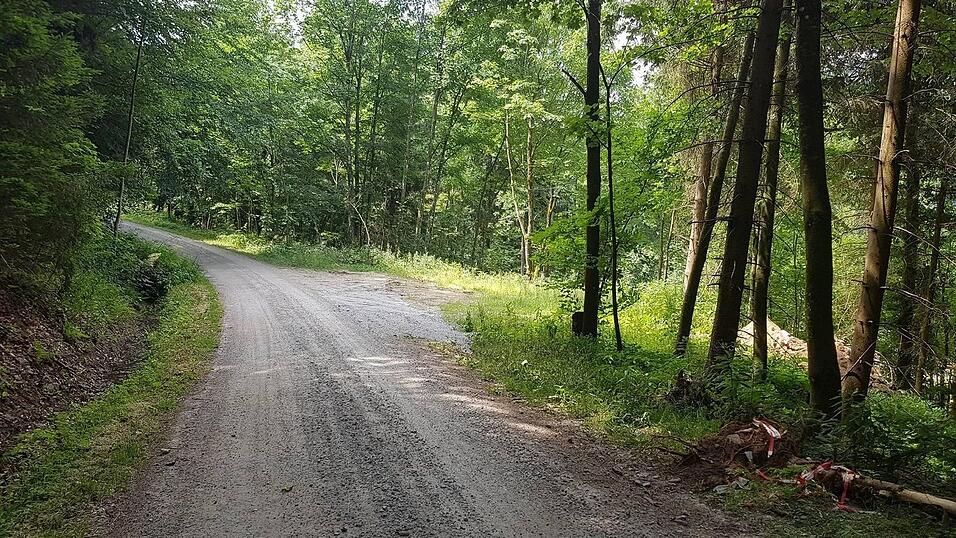 Eigentlich ist der Waldbahnradweg sehr idyllisch. Daher hofft die Gemeinde Grafling, dass sich die Verkehrssituation rund um die B11 bald wieder beruhigt und der Radweg nicht mehr von Autofahrern befahren wird. Eigentlich ist der Waldbahnradweg sehr idyllisch. Daher hofft die Gemeinde Grafling, dass sich die Verkehrssituation rund um die B11 bald wieder beruhigt und der Radweg nicht mehr von Autofahrern befahren wird.