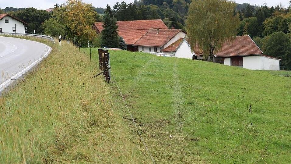 Am Mittwoch kam im Schauflinger Ortsteil Nemering ein Auto von der Straße ab und landete in einem Stall. Am Mittwoch kam im Schauflinger Ortsteil Nemering ein Auto von der Straße ab und landete in einem Stall.