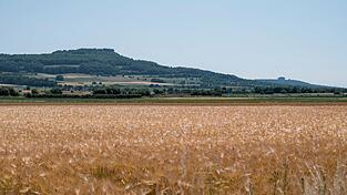 Der August war laut Daten des Landesamts für Umwelt vor allem in Nordbayern deutlich zu trocken. (Archivbild)