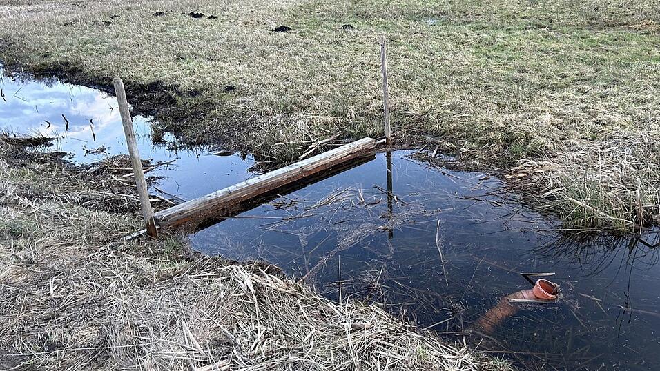 Wasserrückhalt auf einer Moorfläche im Naturschutzgebiet in Niederleierndorf. Wasserrückhalt auf einer Moorfläche im Naturschutzgebiet in Niederleierndorf.