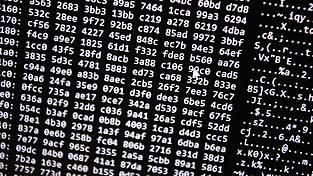 Die Ermittler vermuten eine hohe Dunkelziffer bei Opfern des Cyberbetrugs. (Symbolbild) Die Ermittler vermuten eine hohe Dunkelziffer bei Opfern des Cyberbetrugs. (Symbolbild)