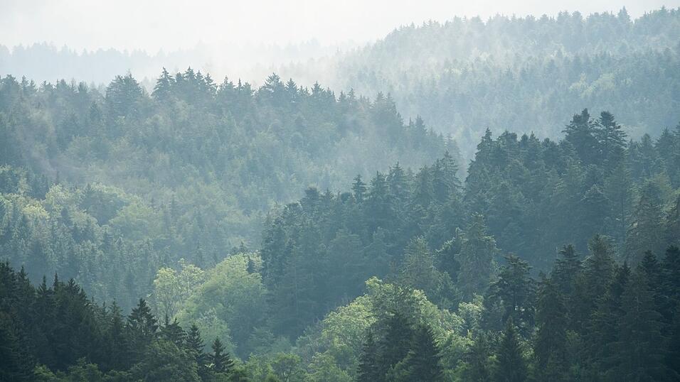 Zur Wochenmitte hat das verregnete Wetter voraussichtlich ein Ende.