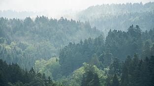 Zur Wochenmitte hat das verregnete Wetter voraussichtlich ein Ende.