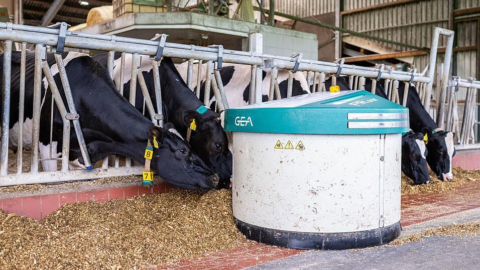 Melkroboter von Gea auf einem Bauernhof in Ahaus. (Archivbild)