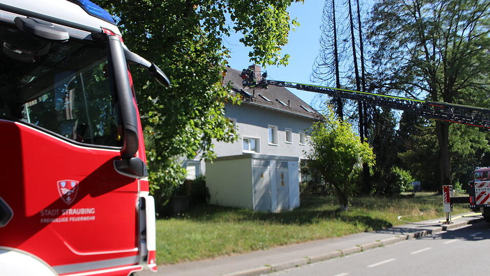 Drei Fichten brannten bei Trockenheit schnell ab. Drei Fichten brannten bei Trockenheit schnell ab.