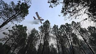 Der Brand bei Luglon hat inzwischen rund 1.600 Hektar Wald und Buschland erfasst. Etwa 650 Menschen wurden vorsorglich evakuiert. Der Brand bei Luglon hat inzwischen rund 1.600 Hektar Wald und Buschland erfasst. Etwa 650 Menschen wurden vorsorglich evakuiert.