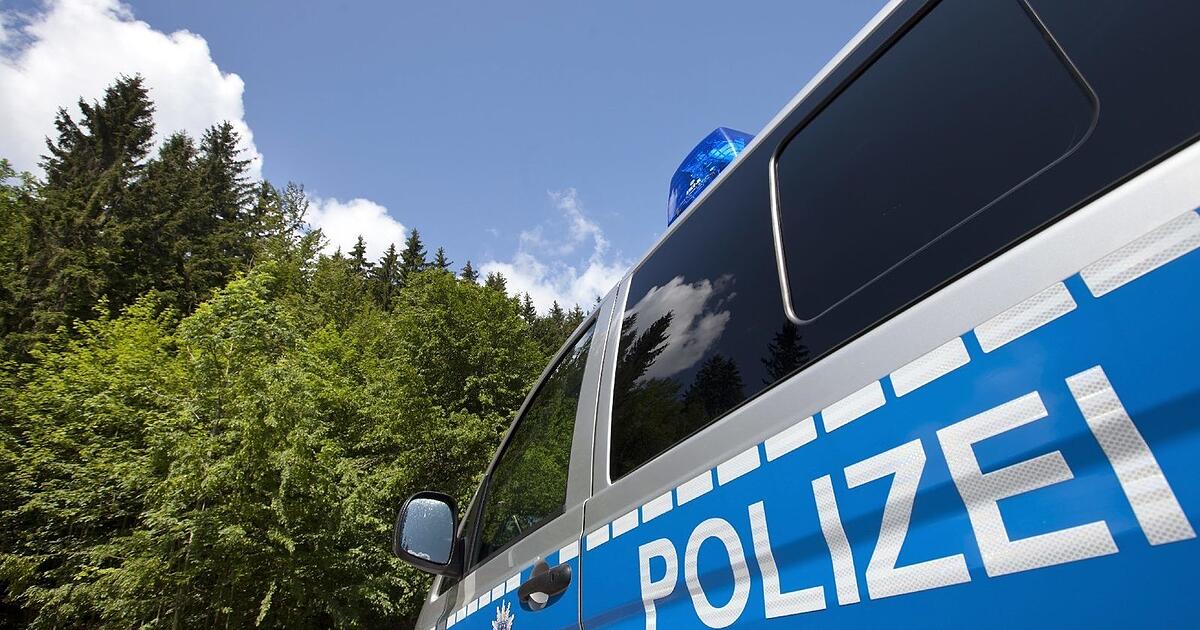 Vier Frauen baden in der Donau und lösen Großeinsatz in Regensburg aus