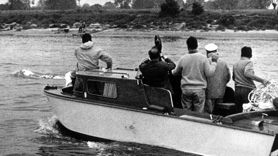 Verschiedene Boote waren tagelang auf der Spur des Wals. (Archivbild)