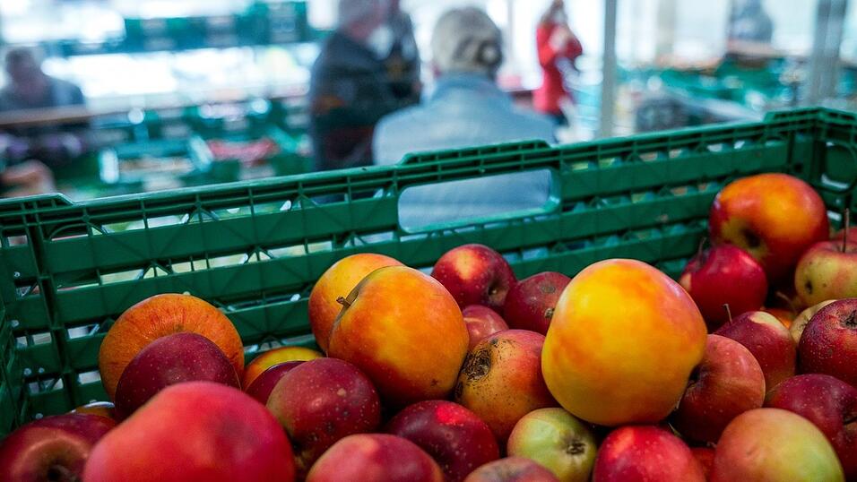 Viele Einrichtungen nutzen die Zeit im Sommer f&uuml;r Reparatur- und Reinigungsarbeiten - davor werden die Lebensmittel ausger&auml;umt und verteilt. (Symbolbild)