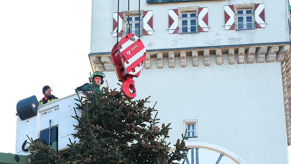 Straubing hat wieder den ersten Christbaum Bayerns! Straubing hat wieder den ersten Christbaum Bayerns!