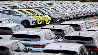 Aus China importierte Elektroautos in Wilhelmshaven. Der Druck der chinesischen Industrie auf ihre deutsche Konkurrenz wächst beständig. (Symbolbild) Aus China importierte Elektroautos in Wilhelmshaven. Der Druck der chinesischen Industrie auf ihre deutsche Konkurrenz wächst beständig. (Symbolbild)