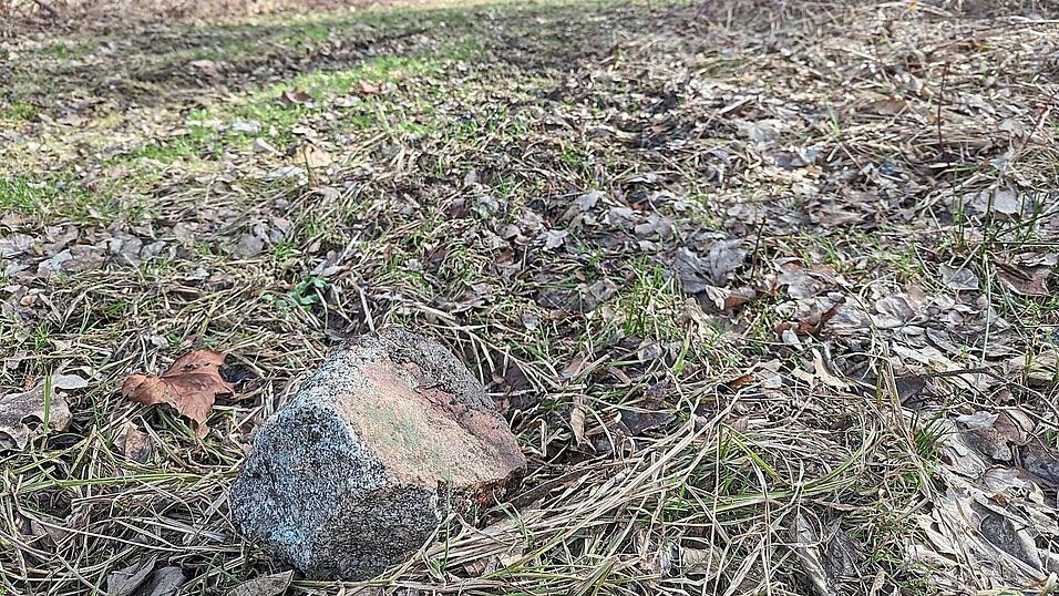 In diesem W&auml;ldchen am Aubach, auf einer Lichtung wie dieser, wurde am 22. April 2023 die damals 23-j&auml;hrige Frau brutal vergewaltigt und fast ermordet. Vom mutma&szlig;lichen T&auml;ter wurden hier DNA-Spuren gefunden.