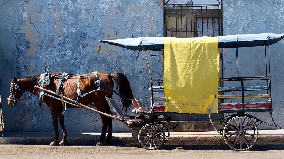 Landaufenthalt in Kuba, Februar 2010. Landaufenthalt in Kuba, Februar 2010.