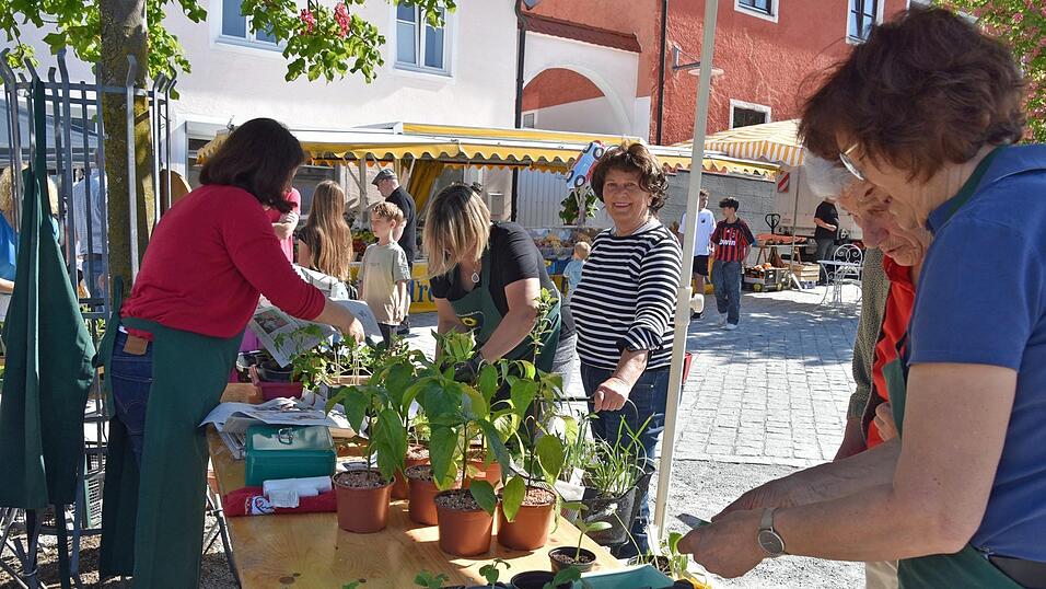 Flei&szlig;ig wurden bei den Gartlern die Pflanzen untereinander getauscht.