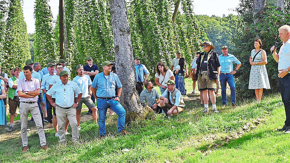 Einen Blick auf die Entwicklung des Hopfens w&auml;hrend der Saison warf Georg Kindsm&uuml;ller vom Hopfenring.