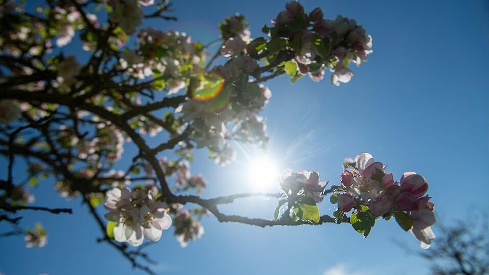 Die Menschen in Bayern dürfen sich auf frühlingshaftes Wetter freuen. (Symbolbild)