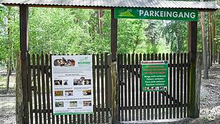 Im brandenburgischen Wildpark Johannismühle südlich von Berlin kommt es zu einem Polizeieinsatz. Im brandenburgischen Wildpark Johannismühle südlich von Berlin kommt es zu einem Polizeieinsatz.