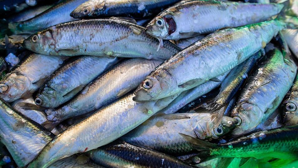 Das Abkommen soll die Fischerei nachhaltiger machen. (Symbolbild)