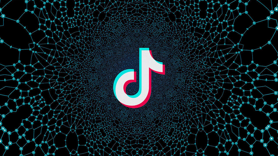 TikTok zieht einen ganz schön in den Bann. Die AfD ist die Partei, die die Plattform mit am besten für sich zu nutzen weiß. TikTok zieht einen ganz schön in den Bann. Die AfD ist die Partei, die die Plattform mit am besten für sich zu nutzen weiß.